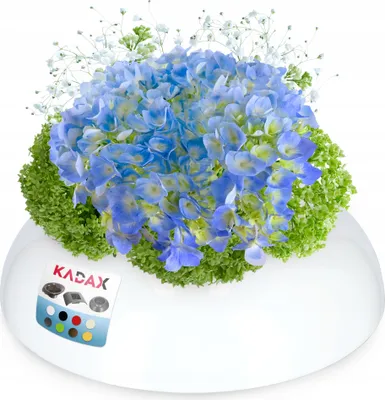 Zdjęcie produktu dla KADAX Doniczka Ikebana Osłonka Kompozycja Kolory 12cm