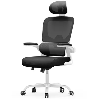 Image de Chaise de bureau ergonomique, hauteur d'assise de 53 cm, avec soutien lombaire élastique, Noir et blanc
