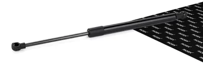 Produktbild von RIDEX 219G0730 Gasfeder Heckklappendämpfer für RENAULT TWINGO II (CN0) 385,5mm