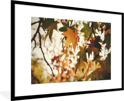 Produktbild von MuchoWow® Gerahmtes Poster Natur - Herbstlaub - Rustikal 90x60 cm - Poster mit Schwarzem Bilderrahmen Wandposter Rahmen Foto Bilder - Wanddekoration - Fotos