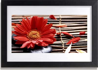 Produktbild von Bild 30x20 MDF-Rahmen Wandkunst Natur Blume Pflanze
