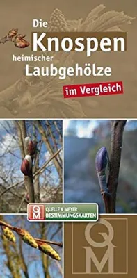 Obrázek produktu pro Die Knospen heimischer und kultivierter Laubgehölze im Vergleich