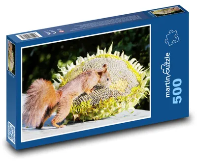 Obrázok produktu pre Puzzle 500 Veverička a Slnečnica - martinpuzzle