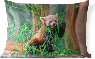 Produktbild von MuchoWow® Outdoor Kissen - Roter Panda - Bambus - Grün - 50x30 cm - Wetterfest - Lounge Kissen - Sofa kissen - Wohnzimmer Dekoration