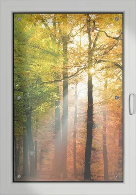 Produktbild von Wallario Lichtschutzbild, Dekorativer Sichtschutz Sonnenschutz 60 x 93 cm mit Motiv: Sonnenuntergang im Herbstwald - Verdunklung ohne Bohren