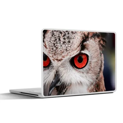 Produktbild von MuchoWow® Laptop Aufkleber Sticker Cover Vogel - Eule - Waldkauz 32.5x23.5 cm - Sticker für Laptop - Selbstklebend