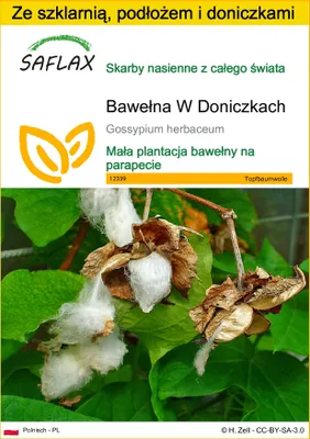 Zdjęcie produktu dla SAFLAX - Zestaw do uprawy - Bawełna W Doniczkach - 12 Nasiona - Z mini szklarnią, podłożem uprawowym i 2 doniczkami - Gossypium herbaceum