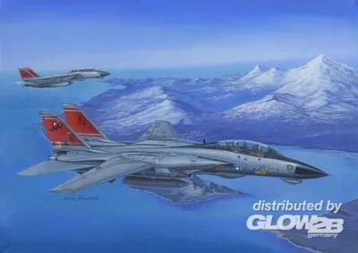 Produktbild von Hobby Boss F-14D Super Tomcat 1:48, 80368