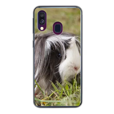 Produktbild von MuchoWow® Handyhülle Schutzhülle Hülle für Samsung Galaxy A40 Langhaar-Meerschweinchen Silikon Softcase Handy Hülle - Handy-Tasche