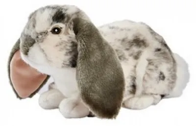Immagine prodotto di Anima Belier Coniglio Grigio Pannolino 30cm L