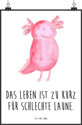Produktbild von Mr. & Mrs. Panda Bild Axolotl Glücklich DIN A2 - Weiß - Geschenk, Wandbild, gut Gelaunt, Motivationsspruch, Molch, Plakat, Schwanzlurch, drucke, wanddeko, Lebensfroh