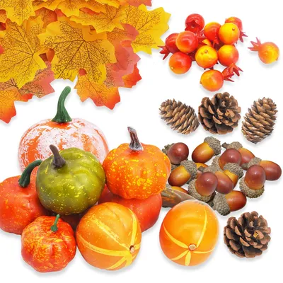 Image de Décoration d'automne : citrouilles pour l'intérieur et l'extérieur