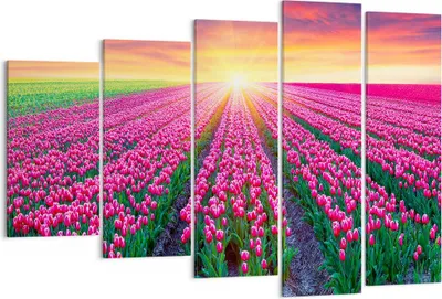 Produktbild von Bild auf Leinwand - Leinwandbild - Wiese Tulpen Sonnenuntergang Frühling - 150x100cm - Wand Bild - Wanddeko - Leinwanddruck - Bilder - Kunstdruck - Leinwand bilder - Wandkunst - EG150x100-2841