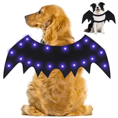 Produktbild von Halloween-Kostüm für Hunde mit Fledermausflügeln
