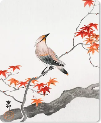 Produktbild von MuchoWow® Mauspad Mousepad Japanischer Ahorn - Vogel - Baum - Vintage 30x40 cm - Mousepads - Maus Mat - Pad - Mausunterlage - Mausmatten