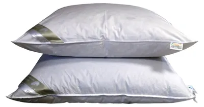 Produktbild von 2 Stück Betten Hofmann Luxus Drei-Kammer-Kopfkissen 80x80 Daunenkissen kuschelweich stützend