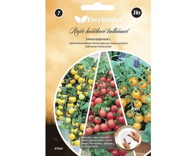 Produktbild von Tomatenstrauch Balkon Aussaatscheiben 3 Stück Easy Garden