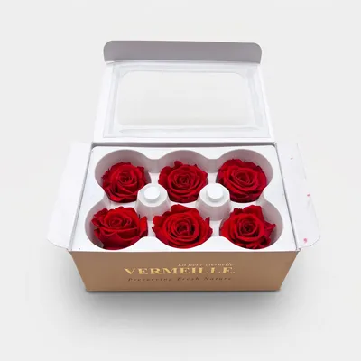 Produktbild von Vermeille Konservierte Rosen Ines Echte Blumen Ø 4cm Rot 6 Stück Deko Ewige Rose