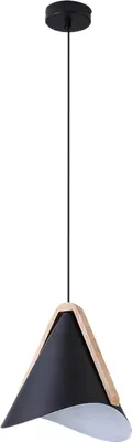 Productafbeelding van Rabalux 6650 Hanglamp met 1 spot, Neva, E27, zwart, industriële stijl, 24,5 cm