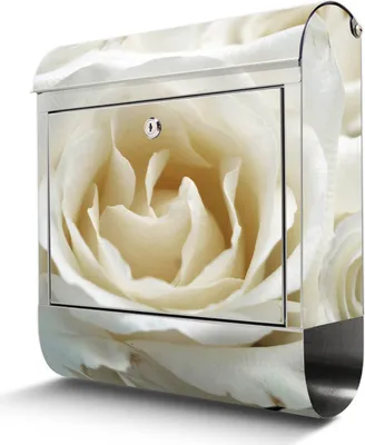 Zdjęcie produktu dla Skrzynka na listy ze stali nierdzewnej z przegrodą na gazety White Roses duża skrzynka na listy ze stali nierdzewnej, otwór A4 [BKGE2 10108]