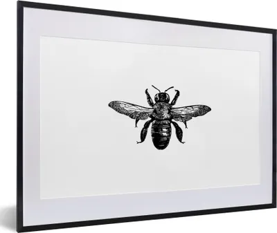 Produktbild von MuchoWow® Gerahmtes Poster Biene - Insekt - Vintage - Schwarz und weiß 60x40 cm - Poster mit Schwarzem Bilderrahmen Wandposter Rahmen Foto Bilder - Schlafzimmer - Plakat in Rahmen - Drucken