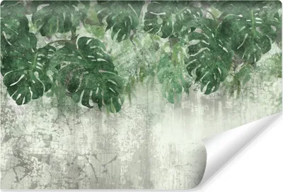 Produktbild von Muralo Vlies Fototapete MONSTERA BLÄTTER Pflanzen Beton Optik Br. 90cm x Hö. 60cm