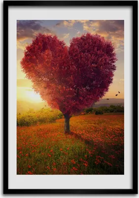 Produktbild von Bild - Bilderrahmen - Foto - 70 cm x 100 cm - MDF - Rahmen - Wandkunst - Baum des Herzens