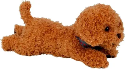 Produktbild von Coppenrath Verlag Kuschelhund Pudel Sammy