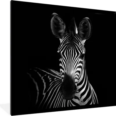 Produktbild von MuchoWow® Gerahmtes Poster Zebra - Schwarz - Weiß - Tiere 40x40 cm - Poster mit Schwarzem Bilderrahmen Wandposter Rahmen Foto Bilder - Mit Rahmen - Wanddekoration Schlafzimmer