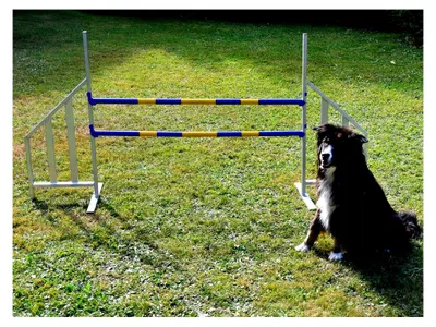 Produktbild von Agility ALU-Hürde für Hunde - Profi-Training-Set FCI-konform - Agilität und Fitness für Ihren Hund