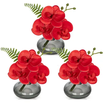 Immagine prodotto di Set di 3 orchidee artificiali con vaso in vetro, colore rosso, altezza 16 cm