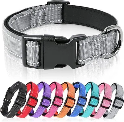 Productafbeelding van Ibenzoa® Verstelbaar reflecterend hondenhalsband van nylon met zacht neopreen – Maten: XS (20–30 cm), S (26–38 cm), M (34–52 cm), L (40–66 cm) – Snelsluiting, stalen D-ring
