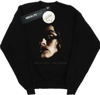 Produktbild von Harry Potter - Sweatshirt für Herren BI28161 (L) (Schwarz)