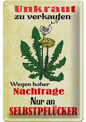 Produktbild von Blechschild Spruch 20x30cm Unkraut verkaufen Selbstpflücker