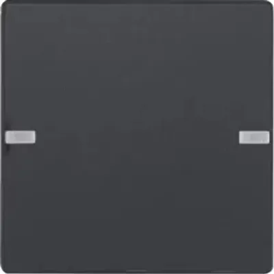 Obrázek produktu pro Berker 80141326, Tlačítko, Antracit, Termoplastik, KNX Q.x, IP20, 58,7 mm