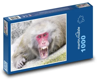 Obrázok produktu pre Puzzle 1000 Nazlostená opica v prírode - martinpuzzle