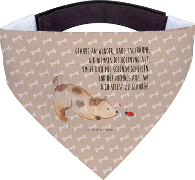 Produktbild von Mr. & Mrs. Panda Hundehalstuch Hund Marienkäfer - Hundeglück - Geschenk, Wunder, Positiv, Dreieckstuch, Mischlinghund, Träume, Zuversichtlich, Hunde-Bandana, Bandana