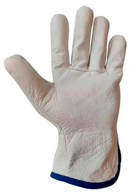 Immagine prodotto di Guanto in pelle bovina, da guida, T-10 XL