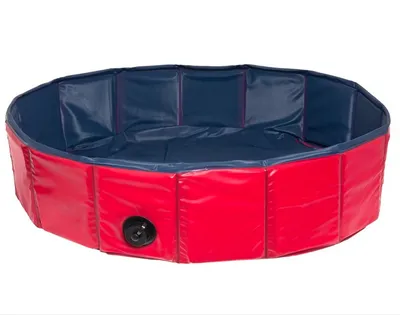 A red and blue dog pool is shown against a white background.