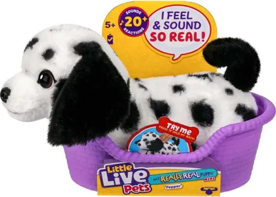 Produktbild von Little Live Pets My Really Real Puppy Minis – Pepper der Dalmatiner, interaktiver Puppy mit 20+ Geräuschen und Reaktionen, inklusive Korb zum Präsentieren, niedliches Geschenk für Kinder (11 cm groß)