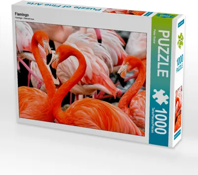 Produktbild von CALVENDO Puzzle Flamingo | 1000 Teile Lege-Größe 64x48cm Foto-Puzzle für glückliche Stunden