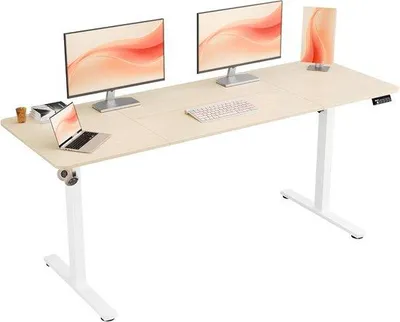 Productafbeelding van Elektrisch Verstelbaar Staand Bureau 170x60cm met Geheugenfunctie voor Kantoor en Thuiswerk