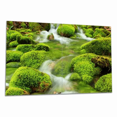 Produktbild von Wallario Herdabdeckplatte aus Glas, Größe 80 x 52 cm 2-teilig, Motiv Moosiger Bach