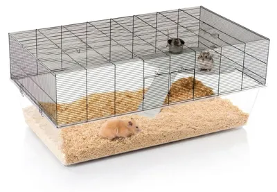 Zdjęcie produktu dla Ferplast Glassy 120, klatka dla chomików, myszy i myszatek, dwupoziomowe terrarium