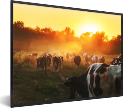 Produktbild von MuchoWow® Gerahmtes Poster Kühe - Sonnenuntergang - Wiese - Tiere 40x30 cm - Poster mit Schwarzem Bilderrahmen Wandposter Rahmen Foto Bilder - Kunstposter - Wanddekorationen