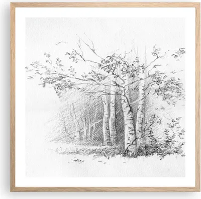 Produktbild von Gerahmtes Poster - Rahmen in heller Eiche - Skizze Wald Birke - 60x60 cm - Wand Bild - Wanddeko - Wandbilder - Wandposter - Bilderrahmen - Bilder - Kunstdruck - Wandbild - P2NAC60x60-4280