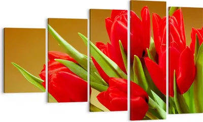 Produktbild von Bild auf Leinwand - Leinwandbild - Tulpen Blumen Feld Plantage - 100x60cm - Wand Bild - Wanddeko - Leinwanddruck - Bilder - Kunstdruck - Wanddekoration - Leinwand bilder - Wandkunst - EG100x60-0962