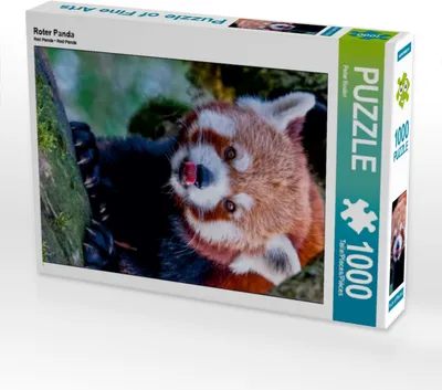 Produktbild von CALVENDO Puzzle Roter Panda | 1000 Teile Lege-Größe 64x48cm Foto-Puzzle für glückliche Stunden