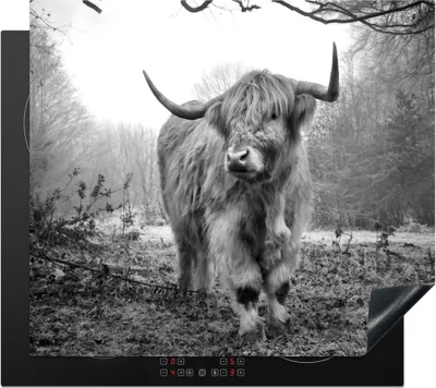 Produktbild von KitchenYeah© Herdabdeckplatte Schottische Highlander - Natur - Herbst - Tiere - Wildtiere - Wald , 58x51cm, Küche Deko, Glaskeramikkochfeld Herdabdeckung, Abdeckplatte fùr Kochfeld