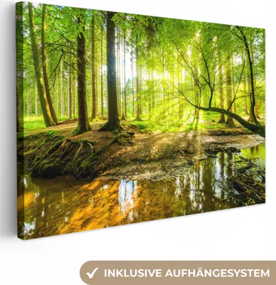 Produktbild von MuchoWow® - Leinwandbilder - Wald - Landschaft - Wasser - Bäume - Sonne - Grün - Natur, Wandbild, Wanddeko Bilder Wohnzimmer, 60x40cm